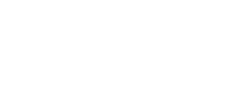 logo incognito