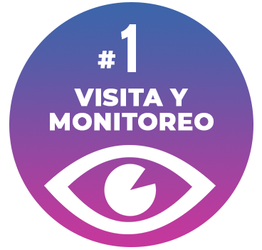 Paso 1 incognito